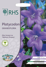 Load image into Gallery viewer, RHS- Platycodon Grandiflora
