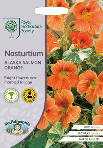 RHS- Nasturtium Alaska Salmon Orange