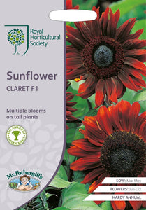 RHS- Sunflower Claret