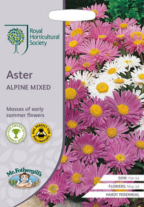 RHS- Aster Alpine Mixed
