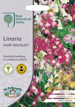 Load image into Gallery viewer, RHS- Linaria Fairy Bouquet
