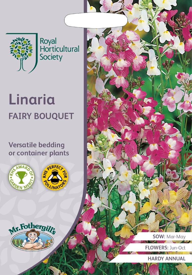 RHS- Linaria Fairy Bouquet