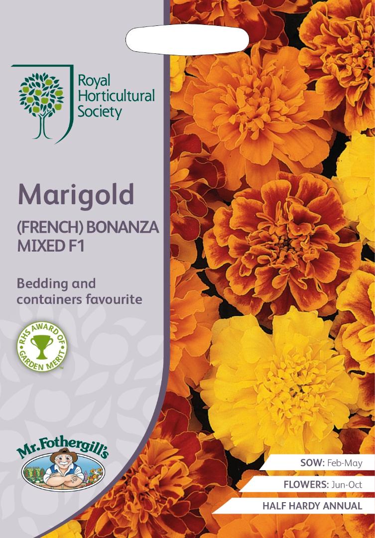 RHS- Marigold French Bonanza