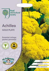 RHS- Achillea Gold Plate