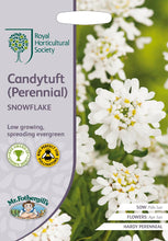 Load image into Gallery viewer, RHS- Candytuft Snowflake
