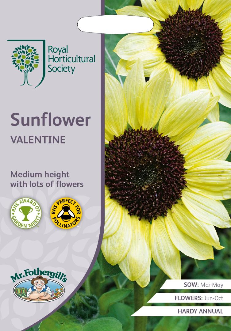 RHS- Sunflower Valentine