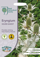 Load image into Gallery viewer, RHS- Eryngium Silver Ghost
