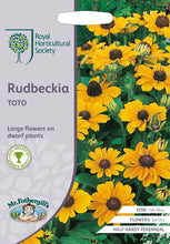 Load image into Gallery viewer, RHS- Rudbeckia Toto
