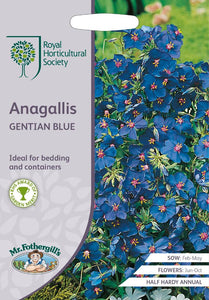 RHS- Anagallis Gentian Blue
