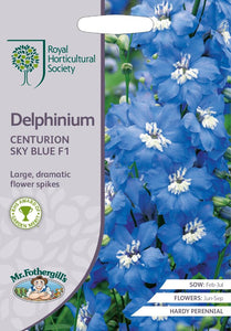 RHS- Delphinium Centurion Sky Blue