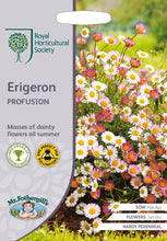 Load image into Gallery viewer, RHS- Erigeron Profusion
