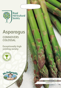 RHS- Asparagus Connover's Colossal