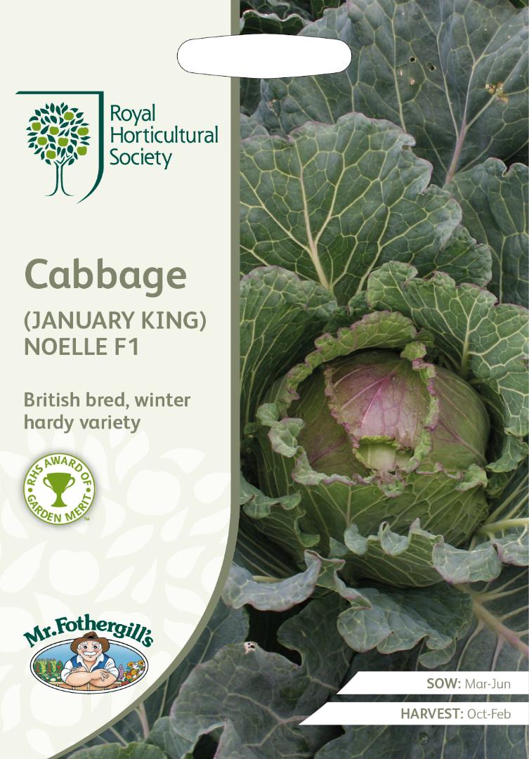 RHS- Cabbage (January King) Noelle F1