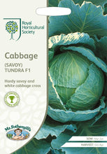 Load image into Gallery viewer, RHS- Cabbage (Savoy) Tundra F1
