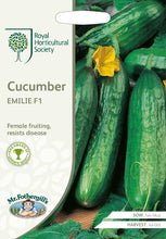Load image into Gallery viewer, RHS- Cucumber Emilie F1
