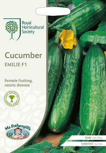 RHS- Cucumber Emilie F1