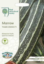 Load image into Gallery viewer, RHS-Marrow Tiger Cross F1

