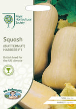 Load image into Gallery viewer, RHS-Squash (Butternut) Harrier F1
