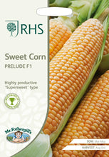 Load image into Gallery viewer, RHS- Sweetcorn Prelude F1
