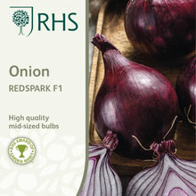Load image into Gallery viewer, RHS- Onion Redspark F1

