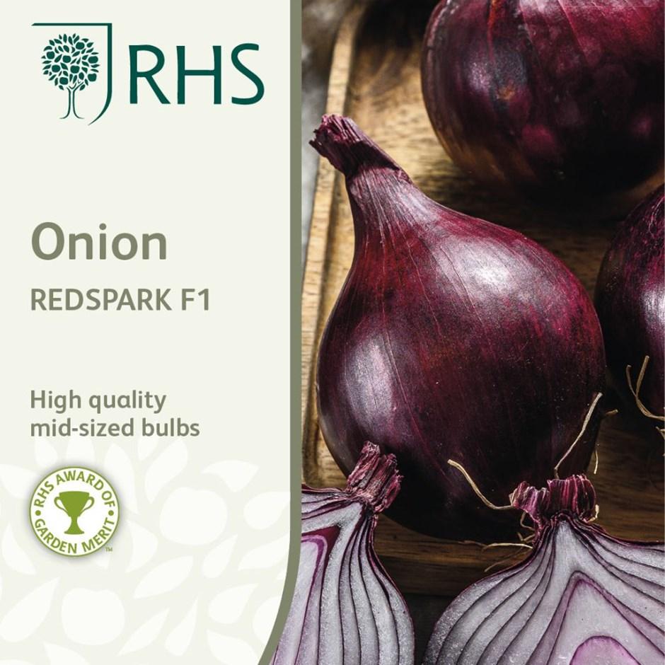 RHS- Onion Redspark F1