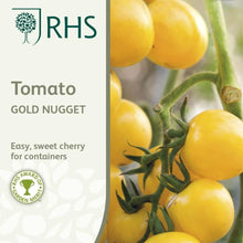 Load image into Gallery viewer, RHS- Tomato Gold Nugget
