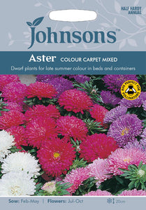 Aster Colour Carpet Mixed