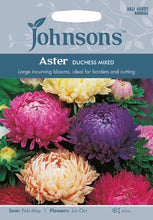 Load image into Gallery viewer, Aster Duchess Mixed
