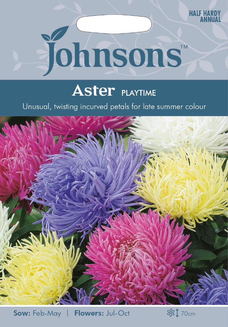 Aster Playtime