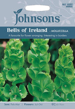 Load image into Gallery viewer, Bells of Ireland- Moluccella
