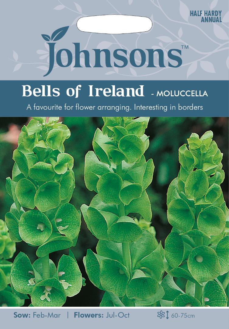Bells of Ireland- Moluccella