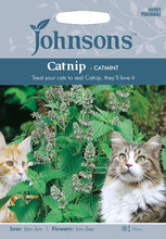 Load image into Gallery viewer, Catnip- Catmint
