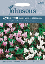 Load image into Gallery viewer, Cyclamen Hardy Mixed- Hederifolium
