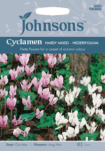 Cyclamen Hardy Mixed- Hederifolium