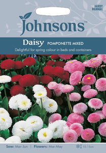 Daisy Pomponette Mixed