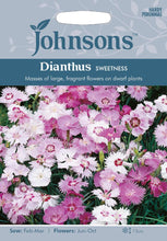 Load image into Gallery viewer, Dianthus Sweetness
