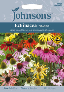 Echinacea Paradiso