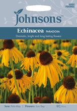 Load image into Gallery viewer, Echinacea Paradoxa
