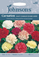 Load image into Gallery viewer, Carnation Giant Chabaud Double Mixed
