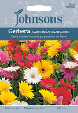 Load image into Gallery viewer, Gerbera Californian Giants Mixed
