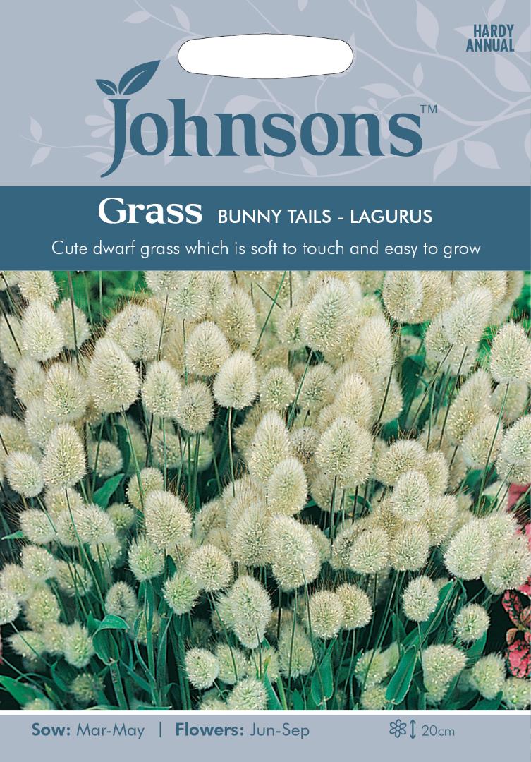 Grass Bunny Tails- Lagurus