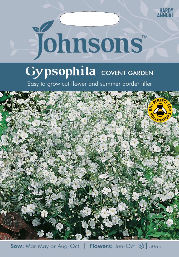 Gypsophila Covent Garden