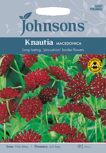 Knautia Macedonica