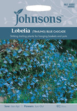 Load image into Gallery viewer, Lobelia Trailing- Blue Cascade
