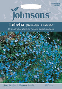 Lobelia Trailing- Blue Cascade