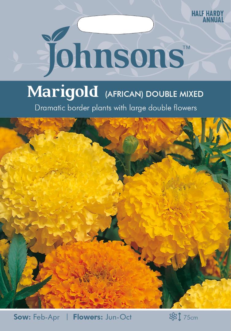 Marigold African- Double Mixed