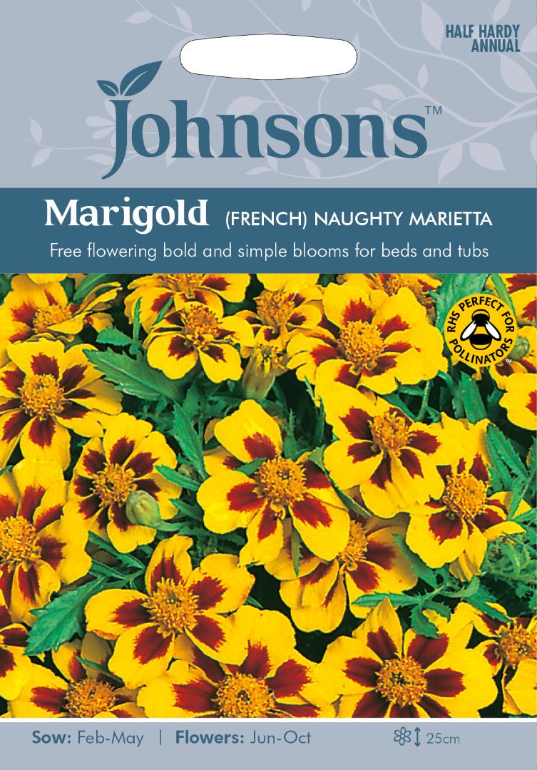 Marigold French- Naught Marietta