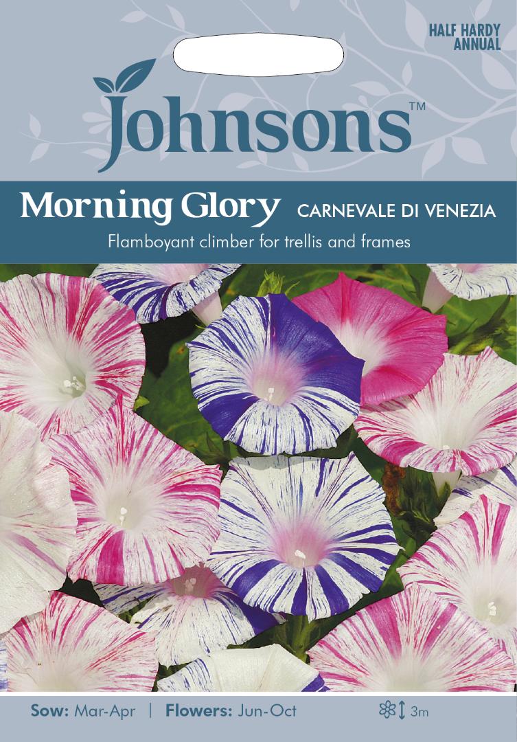 Morning Glory Carnevale Di Venezia