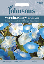 Load image into Gallery viewer, Morning Glory Skylark Mixed
