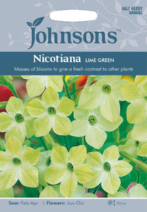 Nicotiana Lime Green
